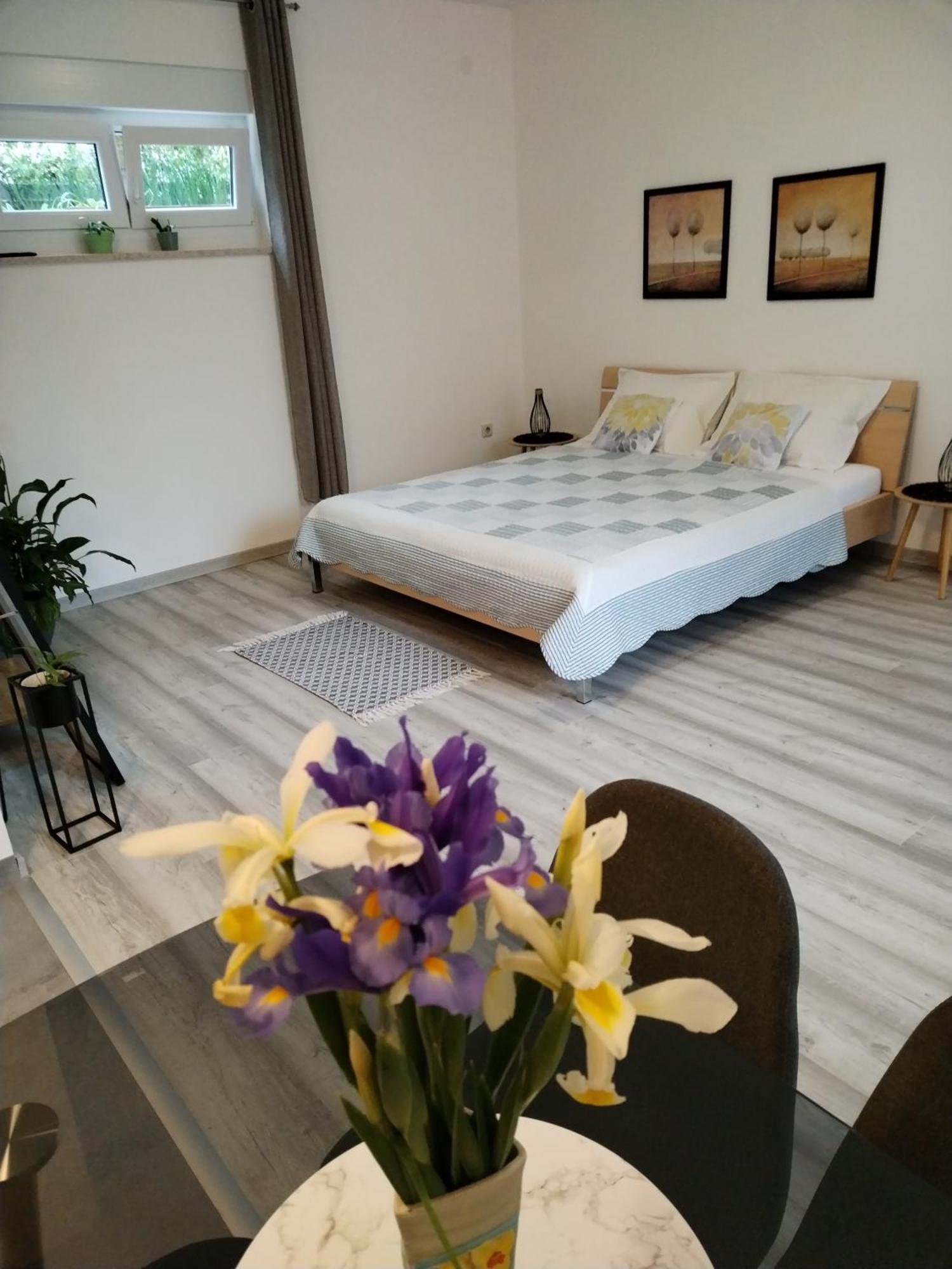 Mirijana Apartmán Pula